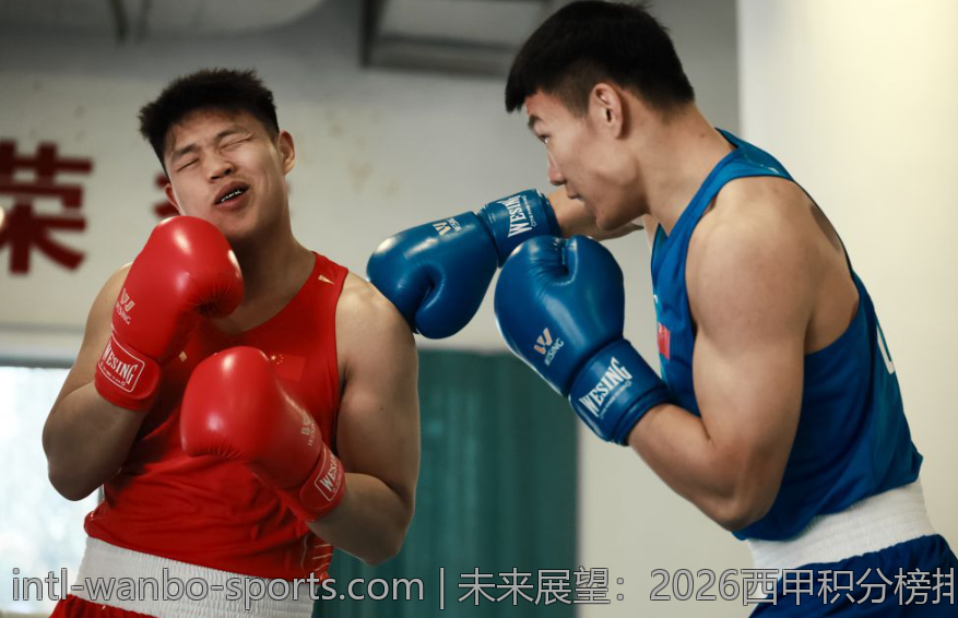 未来展望：2026西甲积分榜排名的深度解析